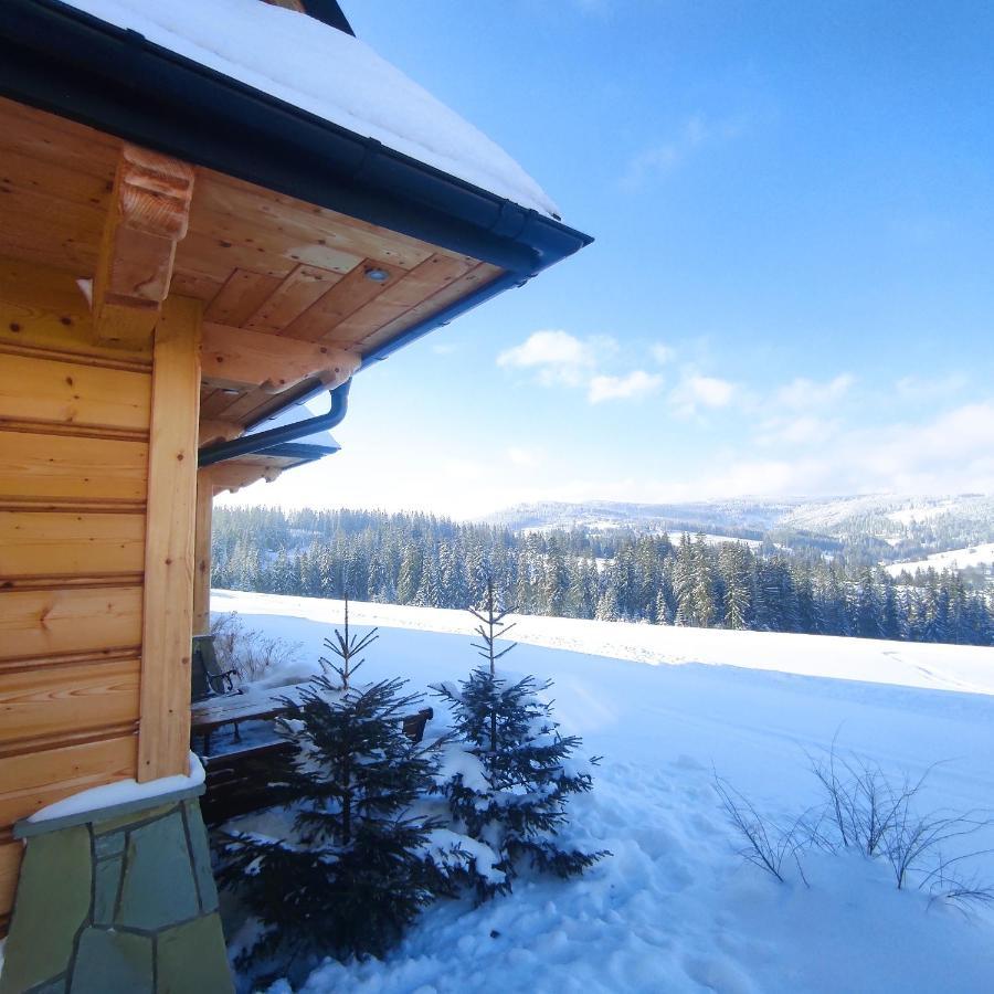 Witowianskie Domki Z Kominkiem, Jacuzzi I Sauna Dzianisz Dış mekan fotoğraf